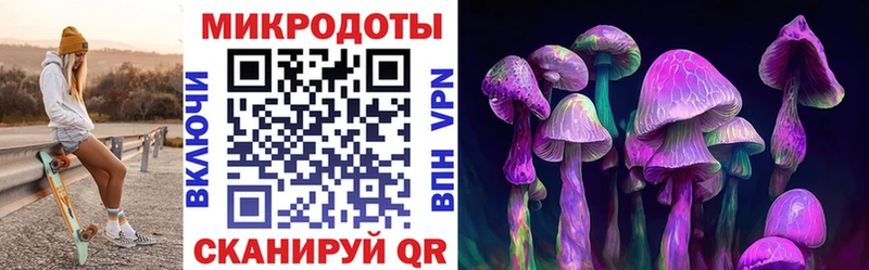 дарнет шоп  Кондрово  Псилоцибиновые грибы GOLDEN TEACHER 