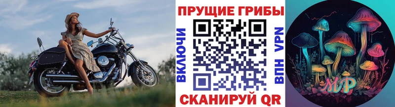 Галлюциногенные грибы мицелий Кондрово